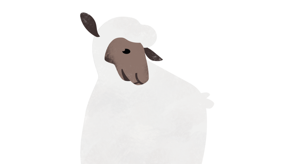 Illustration eines Schafs, Symbolbild Kirchenwahl 2022