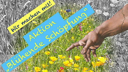 Blumenwiese mit Hand