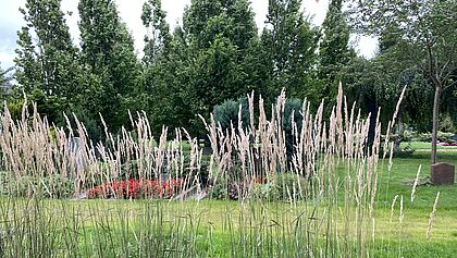 Symbolbild Friedhof 