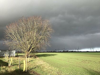 Ein Feld mit dunklen Sturmwolken am Himmel