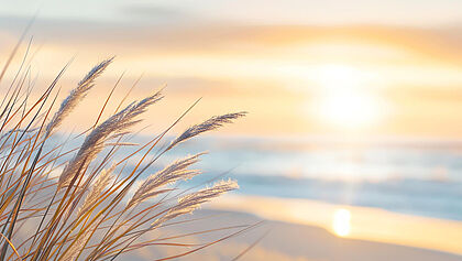Sommer Symbolfoto